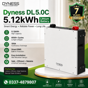 Dyness DL5.0C Lithium Battery – 5.12 kWh